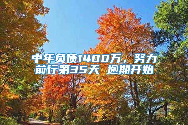 中年负债1400万，努力前行第35天 逾期开始