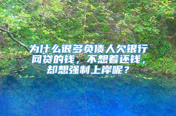 为什么很多负债人欠银行网贷的钱，不想着还钱，却想强制上岸呢？