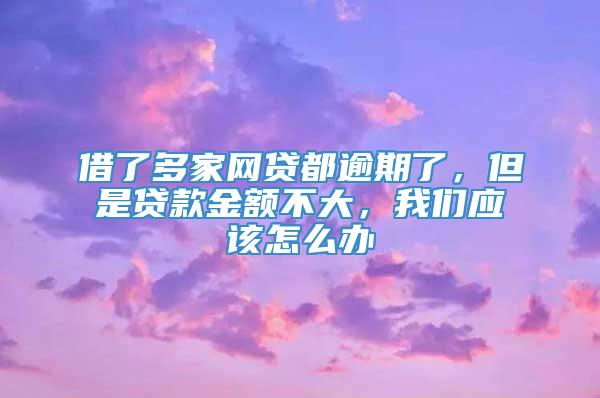 借了多家网贷都逾期了，但是贷款金额不大，我们应该怎么办