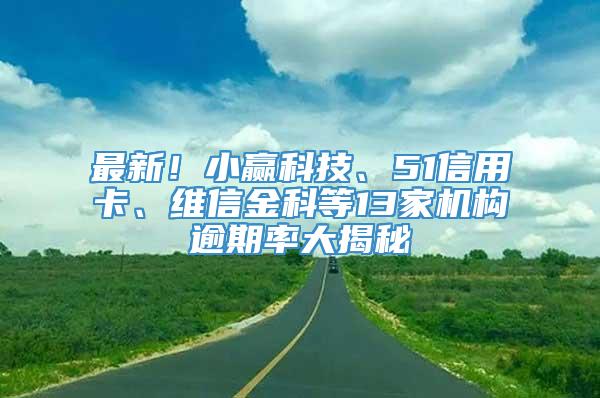 最新！小赢科技、51信用卡、维信金科等13家机构逾期率大揭秘