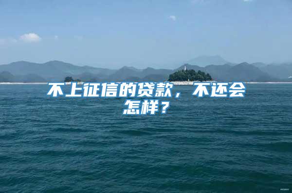 不上征信的贷款，不还会怎样？