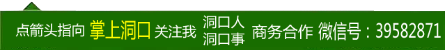 洞口谈 ｜ 亲弟弟欠了30万网贷，我该怎么办？