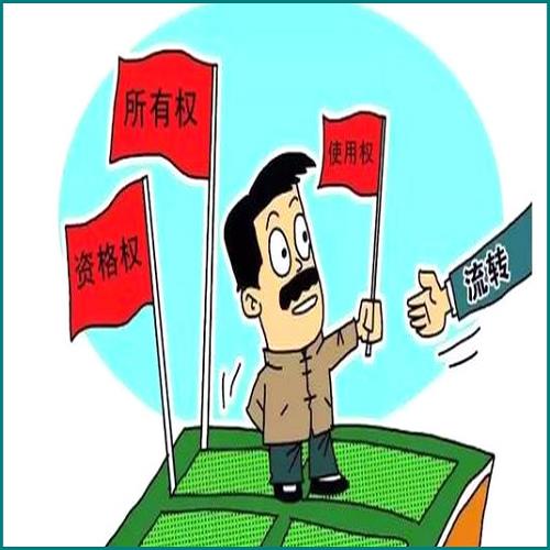 近两年信用卡逾期被停卡