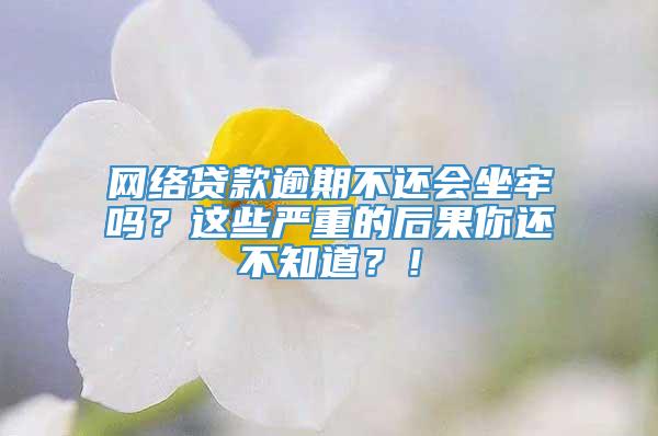 网络贷款逾期不还会坐牢吗？这些严重的后果你还不知道？！