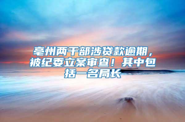 亳州两干部涉贷款逾期，被纪委立案审查！其中包括一名局长