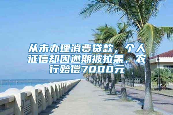 从未办理消费贷款，个人征信却因逾期被拉黑，农行赔偿7000元