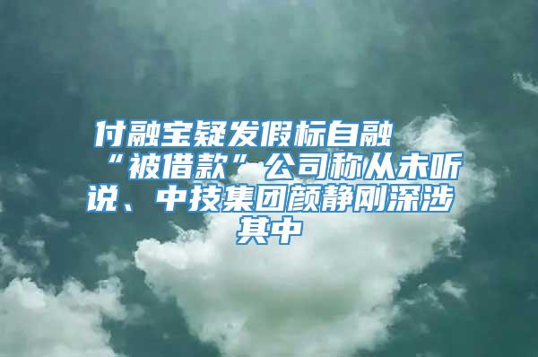 付融宝疑发假标自融 “被借款”公司称从未听说、中技集团颜静刚深涉其中