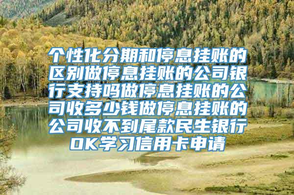 个性化分期和停息挂账的区别做停息挂账的公司银行支持吗做停息挂账的公司收多少钱做停息挂账的公司收不到尾款民生银行OK学习信用卡申请