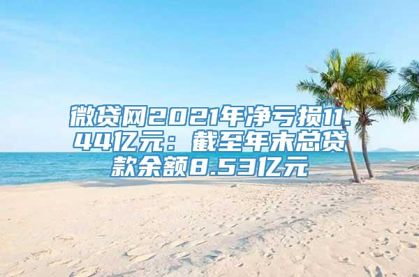 微贷网2021年净亏损11.44亿元：截至年末总贷款余额8.53亿元