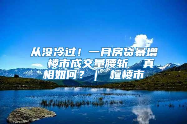 从没冷过！一月房贷暴增  楼市成交量腰斩  真相如何？｜ 檀楼市