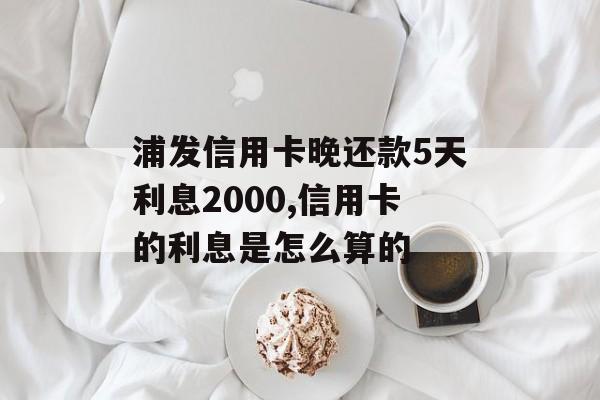 浦发信用卡晚还款5天利息2000,信用卡的利息是怎么算的