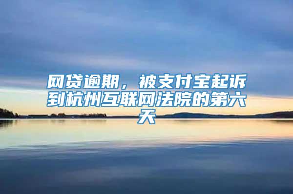 网贷逾期，被支付宝起诉到杭州互联网法院的第六天