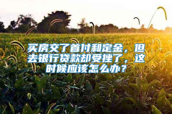 买房交了首付和定金，但去银行贷款却受挫了，这时候应该怎么办？