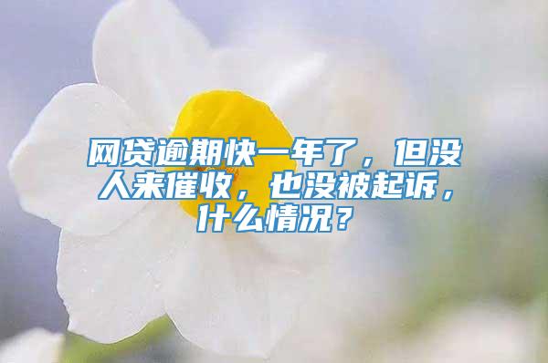 网贷逾期快一年了，但没人来催收，也没被起诉，什么情况？