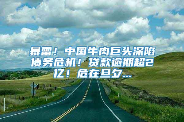 暴雷！中国牛肉巨头深陷债务危机！贷款逾期超2亿！危在旦夕...