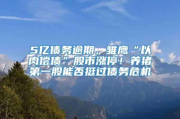 5亿债务逾期，雏鹰“以肉偿债”股市涨停！养猪第一股能否挺过债务危机