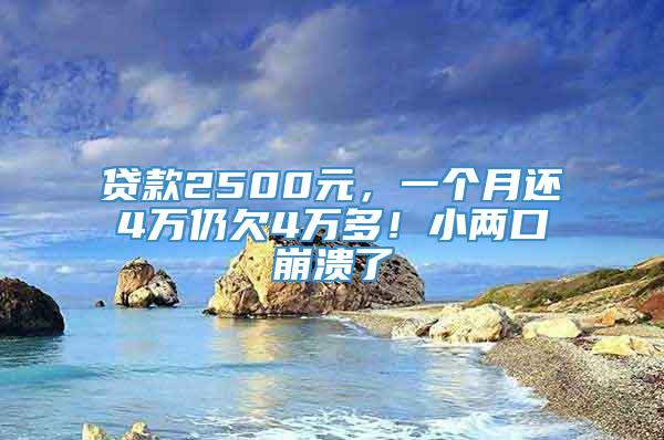 贷款2500元，一个月还4万仍欠4万多！小两口崩溃了