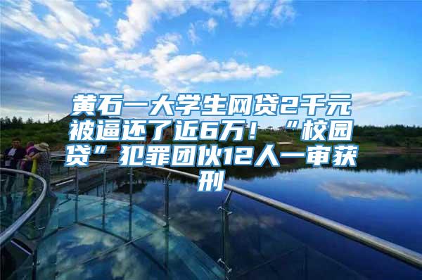 黄石一大学生网贷2千元被逼还了近6万！“校园贷”犯罪团伙12人一审获刑