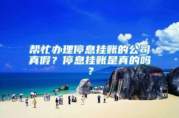 帮忙办理停息挂账的公司真假？停息挂账是真的吗？