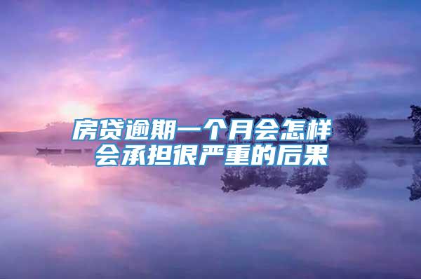 房贷逾期一个月会怎样 会承担很严重的后果