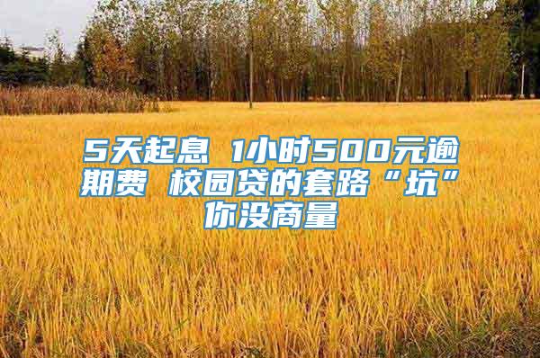 5天起息 1小时500元逾期费 校园贷的套路“坑”你没商量