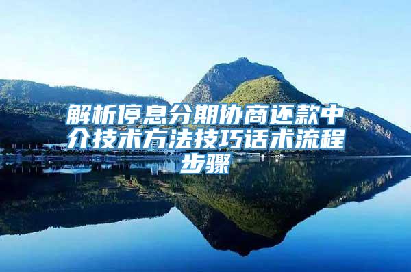 解析停息分期协商还款中介技术方法技巧话术流程步骤