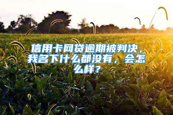 信用卡网贷逾期被判决，我名下什么都没有，会怎么样？