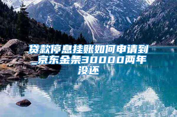 贷款停息挂账如何申请到_京东金条30000两年没还