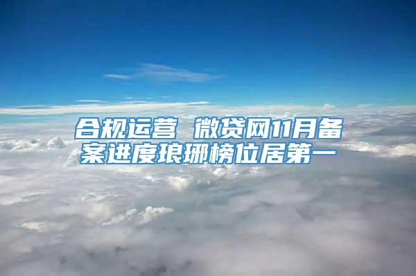 合规运营 微贷网11月备案进度琅琊榜位居第一