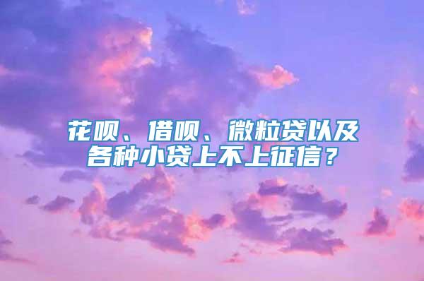 花呗、借呗、微粒贷以及各种小贷上不上征信？