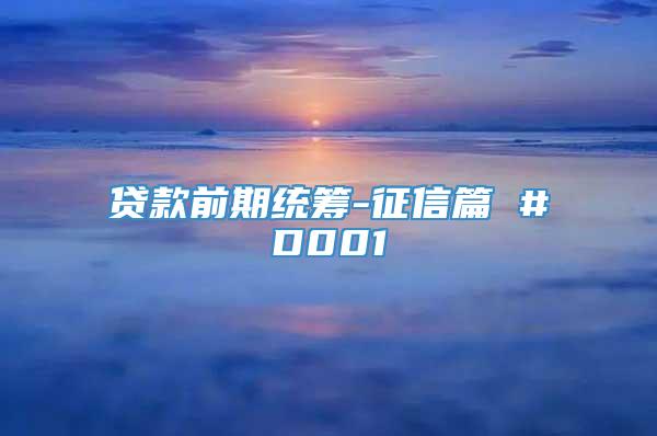 贷款前期统筹-征信篇 #D001