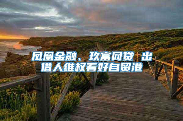 凤凰金融、玖富网贷 出借人维权看好自贸港