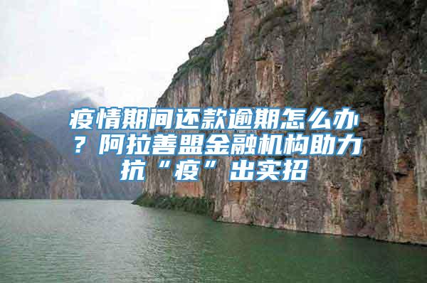 疫情期间还款逾期怎么办？阿拉善盟金融机构助力抗“疫”出实招