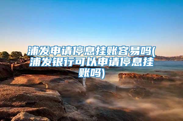 浦发申请停息挂账容易吗(浦发银行可以申请停息挂账吗)