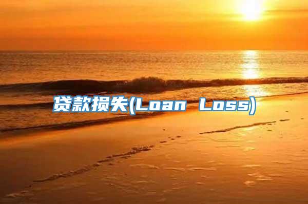 贷款损失(Loan Loss)