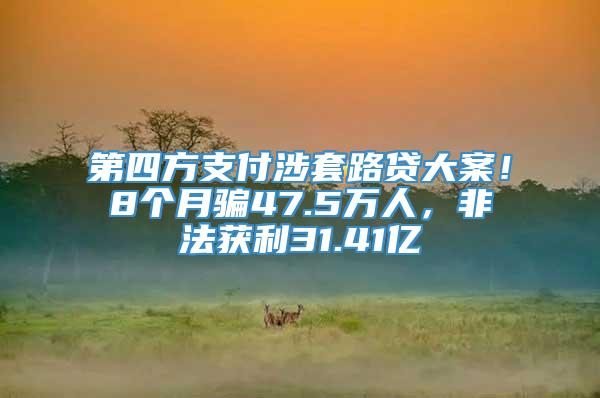 第四方支付涉套路贷大案！8个月骗47.5万人，非法获利31.41亿