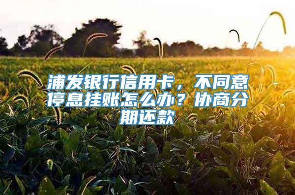 浦发银行信用卡，不同意停息挂账怎么办？协商分期还款