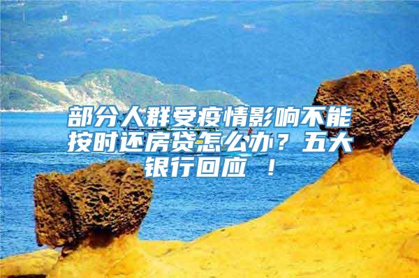 部分人群受疫情影响不能按时还房贷怎么办？五大银行回应 ！