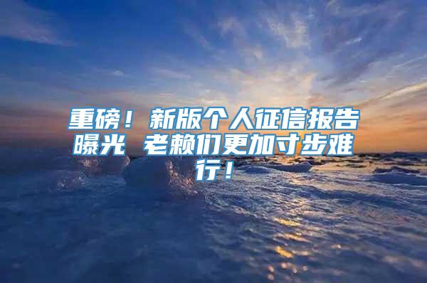 重磅！新版个人征信报告曝光 老赖们更加寸步难行！