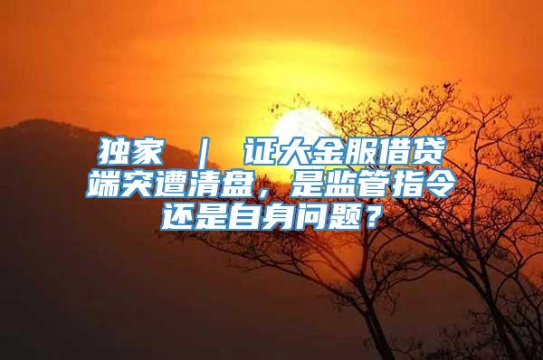 独家 ｜ 证大金服借贷端突遭清盘，是监管指令还是自身问题？