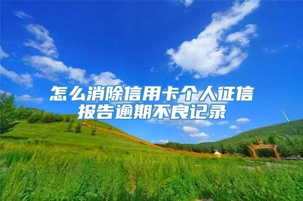 怎么消除信用卡个人征信报告逾期不良记录