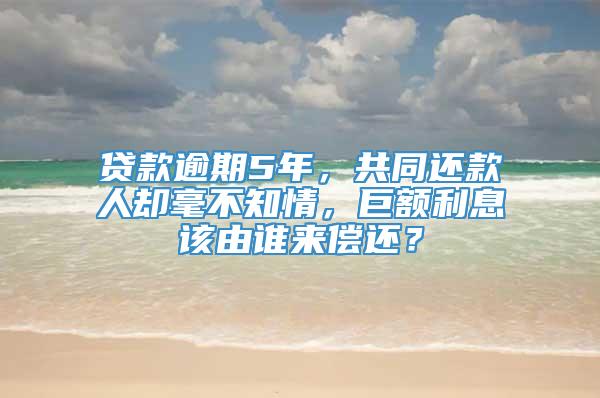 贷款逾期5年，共同还款人却毫不知情，巨额利息该由谁来偿还？