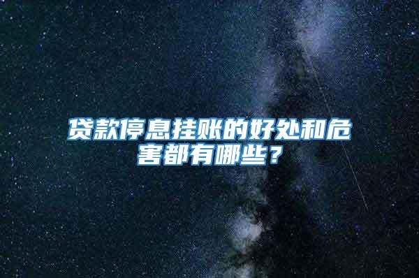 贷款停息挂账的好处和危害都有哪些？