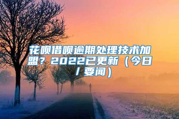 花呗借呗逾期处理技术加盟？2022已更新（今日／要闻）