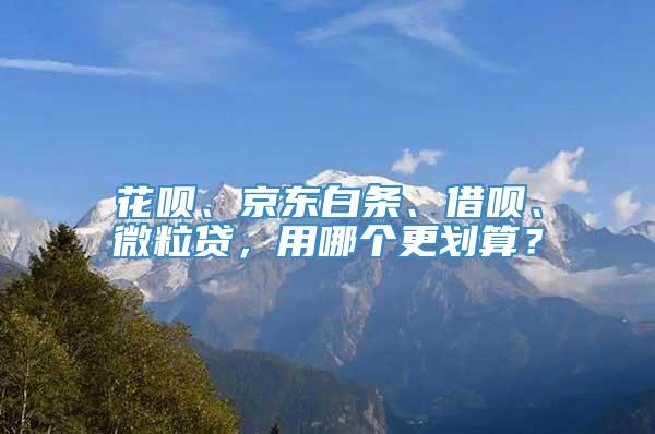 花呗、京东白条、借呗、微粒贷，用哪个更划算？