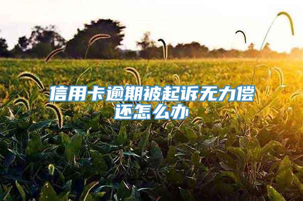 信用卡逾期被起诉无力偿还怎么办