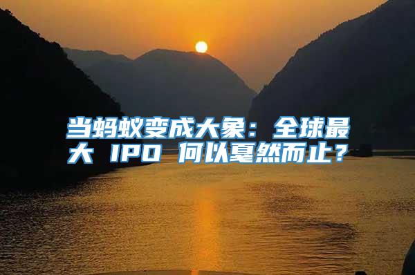 当蚂蚁变成大象：全球最大 IPO 何以戛然而止？