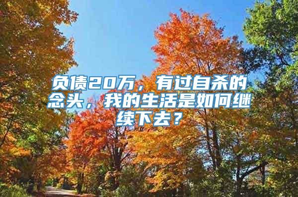 负债20万，有过自杀的念头，我的生活是如何继续下去？