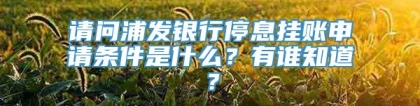 请问浦发银行停息挂账申请条件是什么？有谁知道？