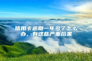 信用卡逾期一年多了怎么办，有这些严重后果